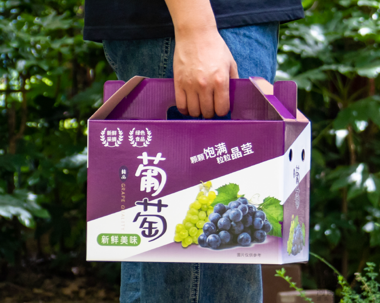 通用葡萄包装盒(图5) 05.png